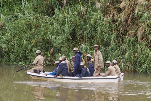 The team of giant sable shepherds crossing the Luando river; A equipa de pastores da palanca atravessando o rio Luando.